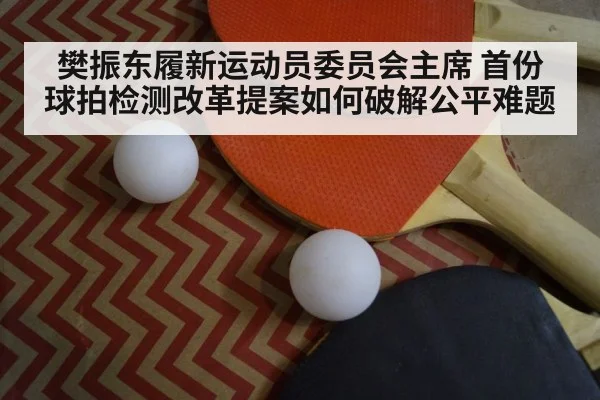 table tennis racket inspection