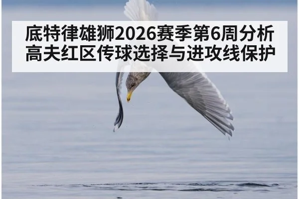 底特律雄狮2026赛季第6周分析 高夫红区传球选择与进攻线保护