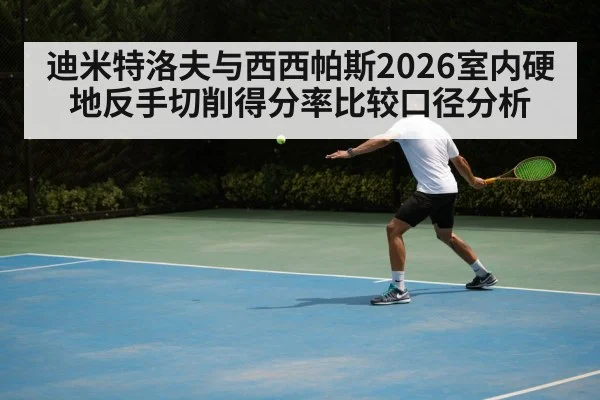 迪米特洛夫与西西帕斯2026室内硬地反手切削得分率比较口径分析